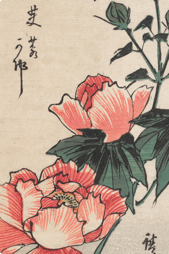 Japoński drzeworyt ukiyo-e z kwiatami piwonii – grafika szkoleń KOBIDO UP22